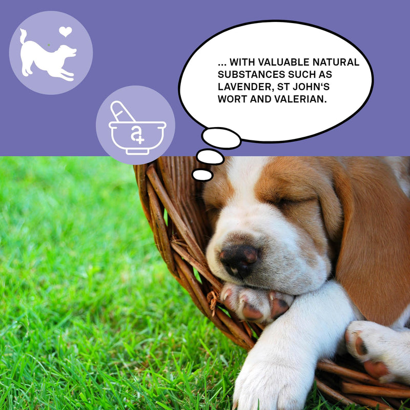 animaux Daily Balance – 40 chewable tablets – Herbal calming treats for dogs with anxiety, stress & nervousness, with Valerian, St. John's Wort & Lavender