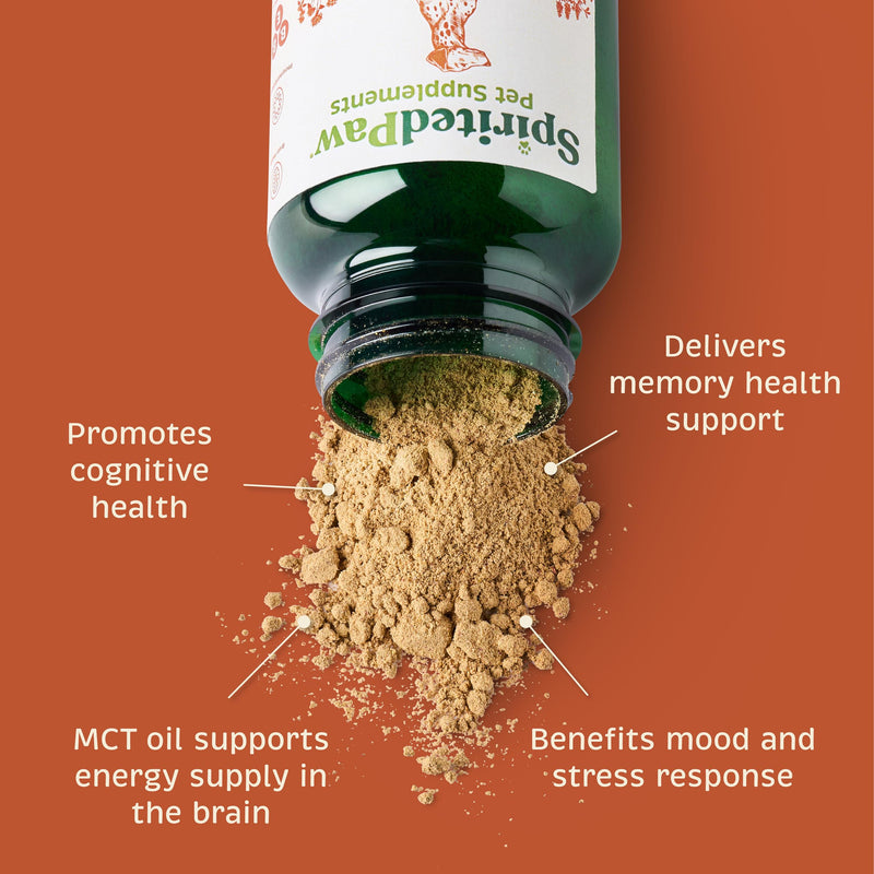 Spirited Paw Healthy Mind - Supports Brain Function for Adult & Senior Dogs - Brain Nourishment for Healthy Memory Support - Farm-Grown Ingredients & No Artificial Fillers - 3.35 oz