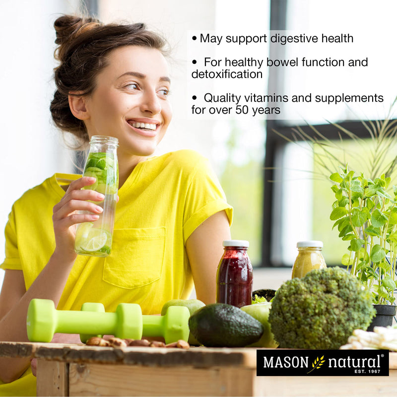 MASON NATURAL Papaya Digestive Enzyme Complex, Healthy Digestive Function, Promotes Nutrient Absorption, Peach Flavor, 100 Chewables (Pack of 3) 100 Count (Pack of 3)