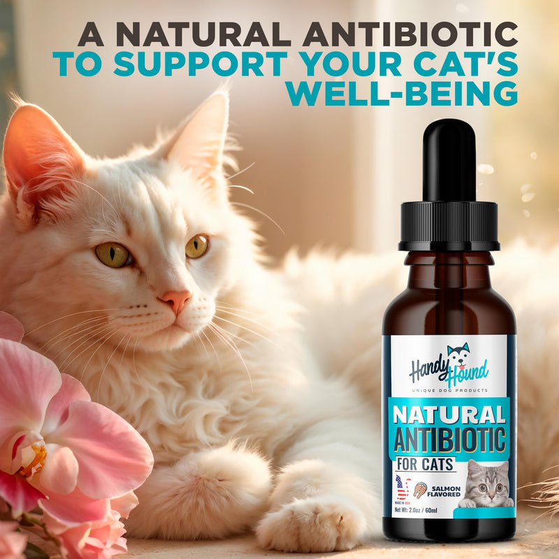 Antibiotics for Cats - Cat Allergy Relief for Cats - Perfect for Cat Sneezing Treatment and Cold Remedy for Cats - PawsPlanet Australia