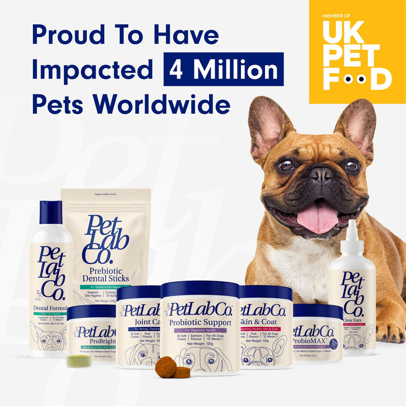 PetLab Co. Skin & Coat Chews - Support a Healthy, Comfortable Coat in Seconds a Day. Formulated with Beneficial Fatty Acids, Vitamins, Honey, & Turmeric to Optimize Skin and Coat Condition