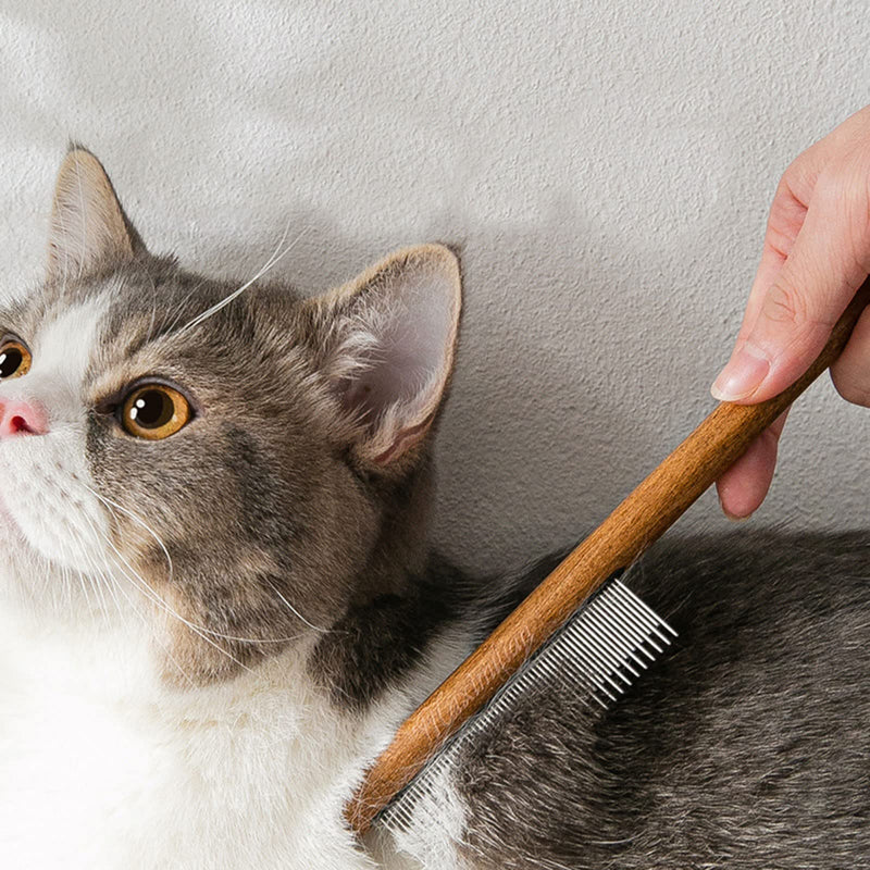 ERBO wooden cat comb, cat brush for long hair, short hair, stainless steel dog comb, flea comb for cats, suitable for all lengths, effectively removes tangles, mats and loose hair, 1 piece - BeesActive Australia