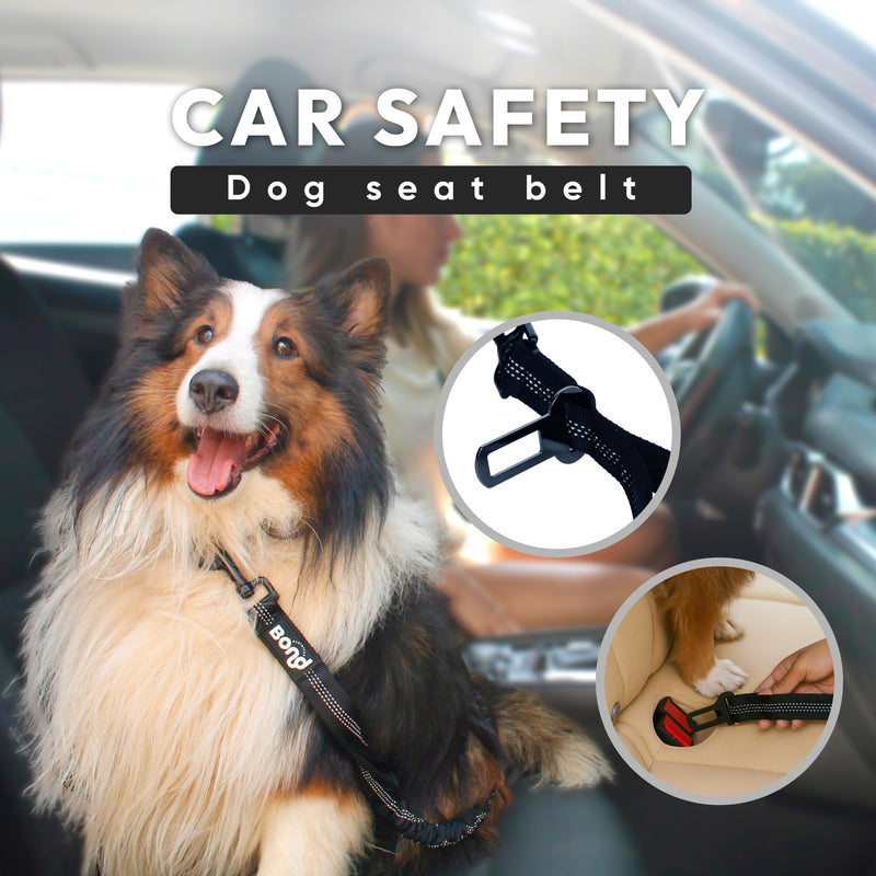 Bond Dog Running Leash Hands Free with Pouch, Hands Free Leash for Large Dogs, Pet Lead Running Belt for Walking & Canicross Belt, Includes Waist Jogging Fanny Pack & Pet Car Seat Belt Safety Medium Black