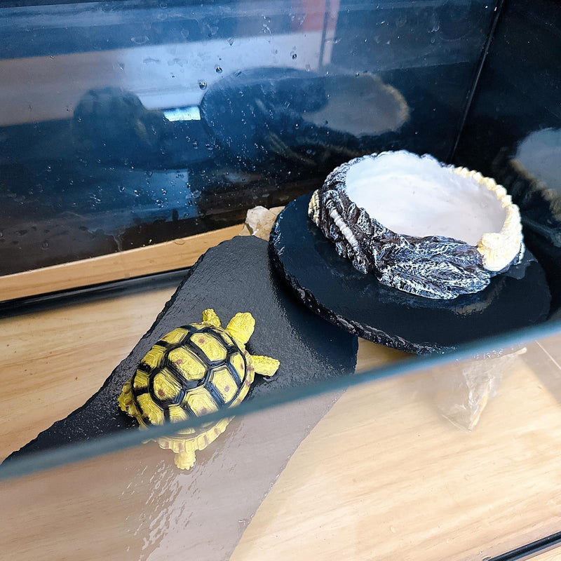 Tfwadmx Hermit Crab Water Bowl, Small Reptile Feeding Dish, Tortoise Water Dish, Hermit Crab Food Dish, Reptile Food Bowl for Geckos Corn Snakes Turtles Small Bowl-1Pcs - BeesActive Australia
