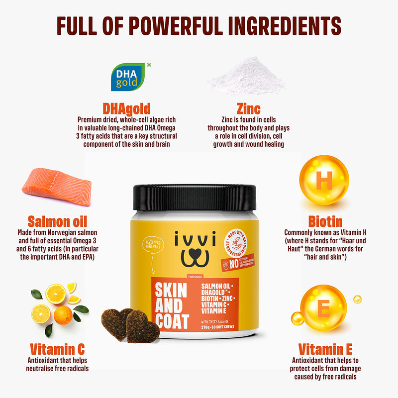 ivvi SKIN & COAT Omega 3 for Dogs Supplement (DHA) with DHAgold, Salmon Oil, Vitamin C & E, Biotin for Dogs – Itchy Skin & Itchy Dog Relief, Dog Allergy Relief, Soft & Shiny Fur - 60 Tasty Soft Chews