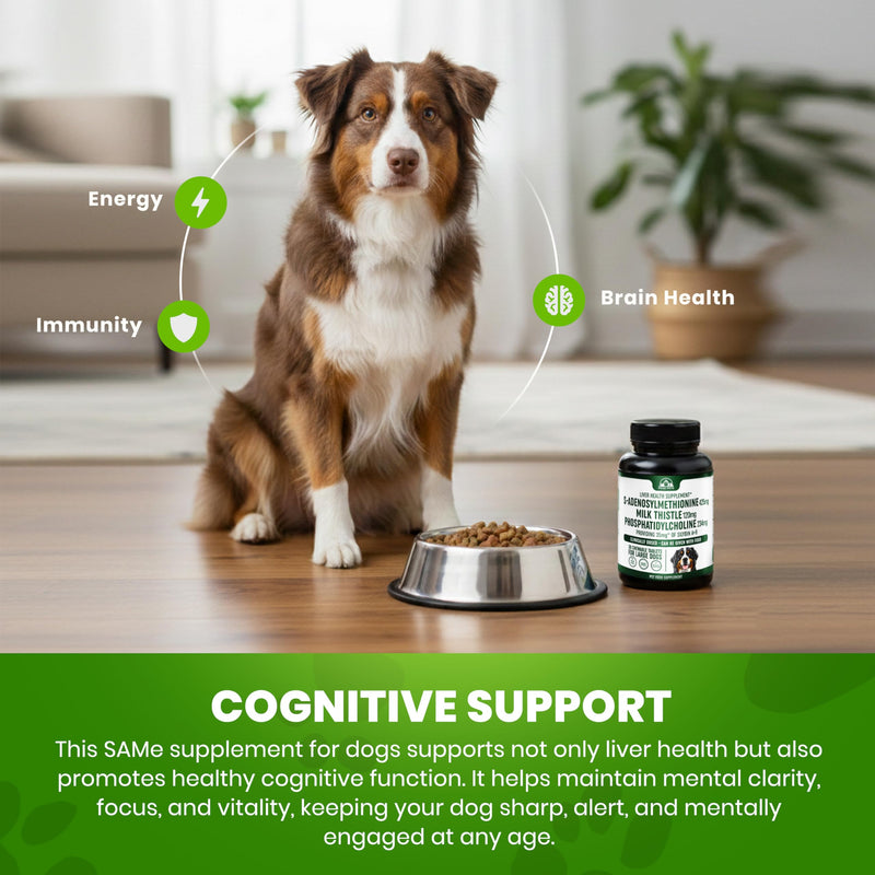 Liver Support Supplement for Large Dogs with Silymarin (Same & Silybin) S-Adenosyl-L-methionine (SAM-e) & Silybum (Milk Thistle) Dog Liver Supplement - 3rd Party Tested, Non GMO - 30 Chewable Tablets Large Dogs (Over 35 lbs)