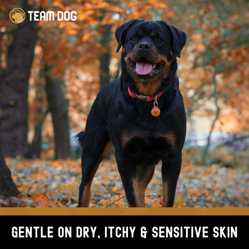 TEAM DOG 5 in 1 Oatmeal Shampoo for Dogs | Moisturizing, Detangling & Deodorizing Dog Shampoo and Conditioner | for Allergies & Sensitive Skin | No MEA/DEA, Phosphate, Sulfates, Parabens | 16 Fl Oz - PawsPlanet Australia