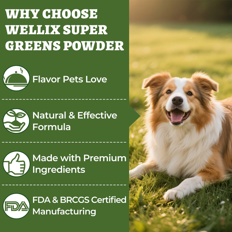 Wellix 7.02oz Super Greens Powder with Organic Spirulina, Chlorella, Spinach - Immune Support, Hip and Joint Supplement for Dogs, Chicken Flavor 100% Natural Dog Supplements Spirulina Powder