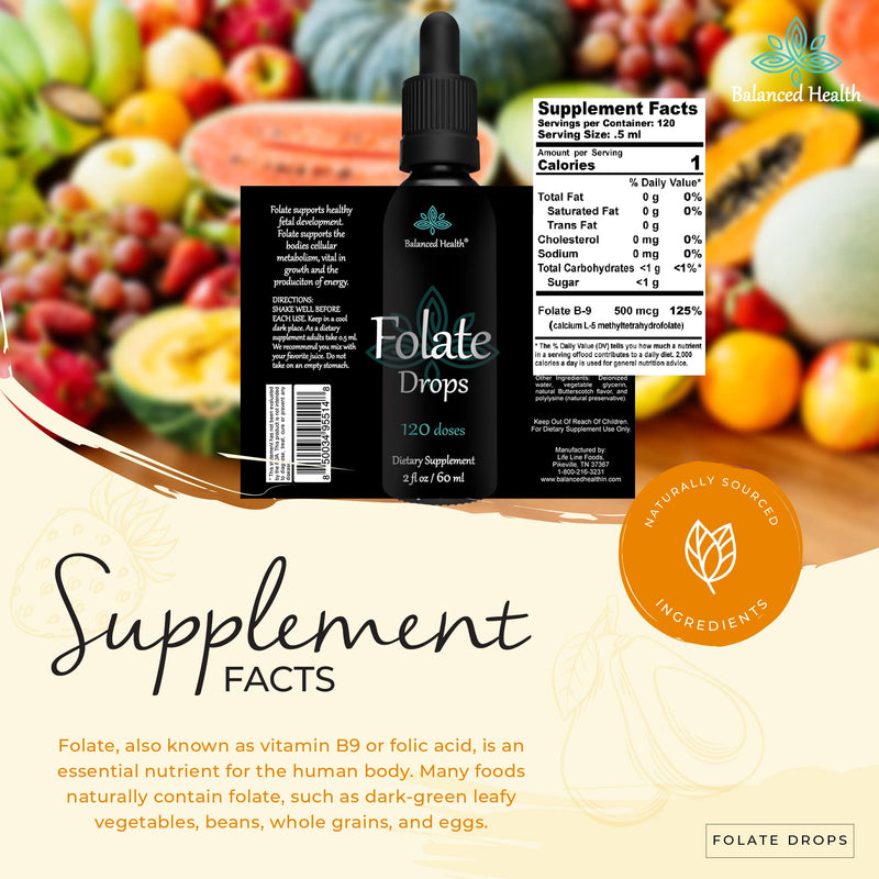 Folate Drops - 120 Servings, 2oz, Butterscotch Flavor, 500mcg L-5-MTHF Folic Acid Supplement 2 Fl Oz (Pack of 1)