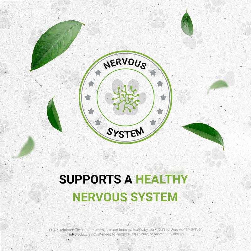 Birds Anxiety | Natural Herbal Dietary Pet Supplement for Birds | Support Stress Relief | Alcohol-Free Extract, Chamomile, Lemon Balm, Lavender, Linden, Fennel 2 oz