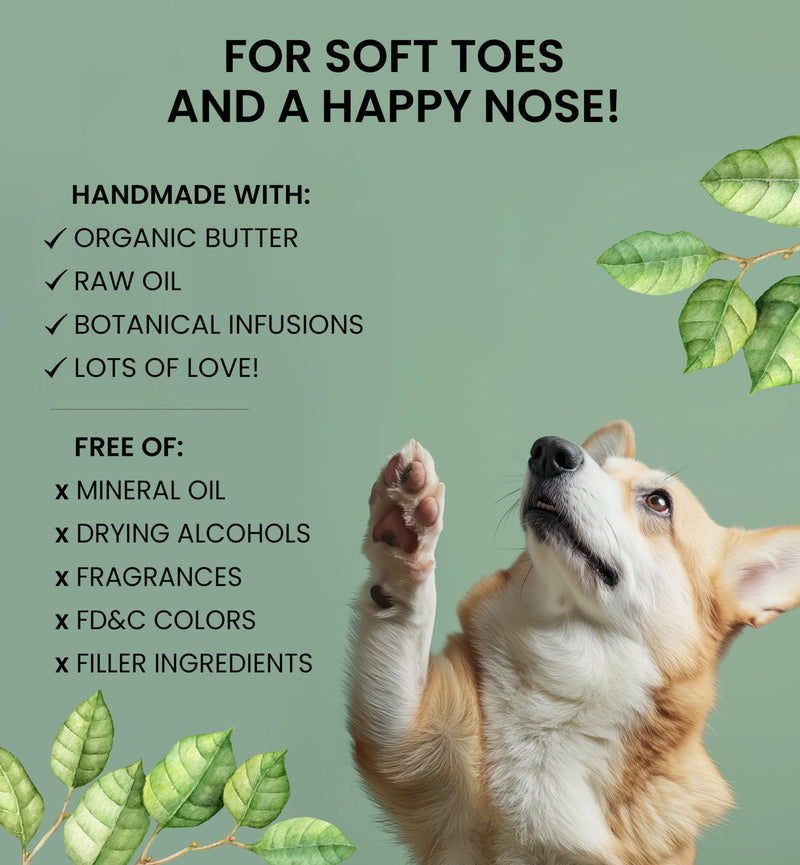 Paw & Nose Balm - All Natural & Vegan Skin Saver for Dogs & Cats - Paw Cream & Lotion for Protecting Dry Paws, Noses & Elbows (2 oz / 60 g Jar) 2 oz / 30 g Jar