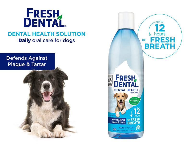 Fresh Dental Dental Health Solution for Dogs, 18oz Dental Formula 18 Fl Oz (Pack of 1) - PawsPlanet Australia