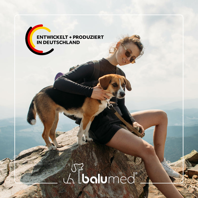 balumed® snacks bones and joints highly concentrated with green-lipped mussel for dogs, treats with prebiotics, postbiotics, brewer's yeast, devil's claw, chondroitin & collagen, vitamins E + B, 325 g - BeesActive Australia