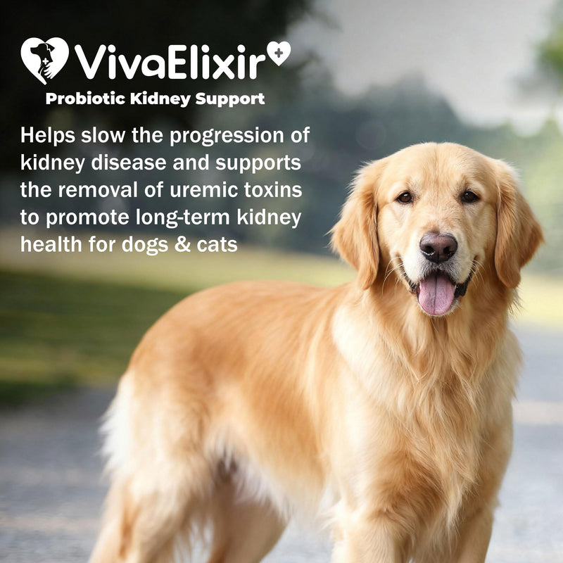 Kidney Health Supplement for Dogs & Cats | Probiotic Pet Wellbeing | Kidney Supplement | Help Support Kidney Function & Manage Renal Toxins | Renal Care Supplement Capsule 120ct