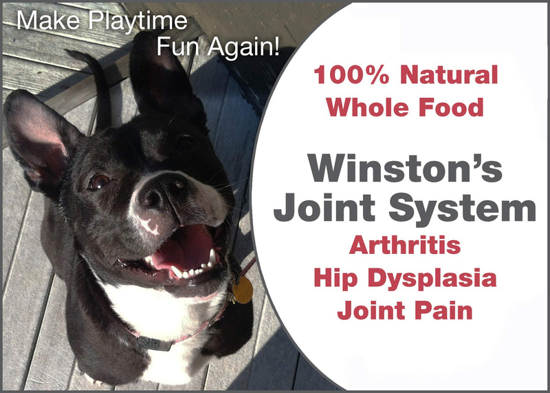 Joint System - for Smaller Dogs Under 40 Pounds - 100% Natural Whole Food Supplement System for Arthritis, Hip Dysplasia and Joint + Pain Relief - One Month Supply - Since 1992 - PawsPlanet Australia