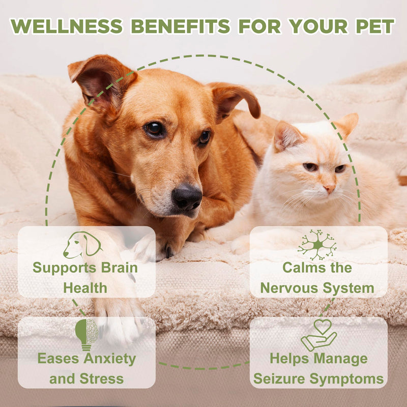 Seizure and Epilepsy Supplement, Nervous System Supplements for Dogs and Cats, Natural Herbal Help Relieve Anxiety, Involuntary Muscle Activity,Twitching and Drooling, Repetitive Strange Movements