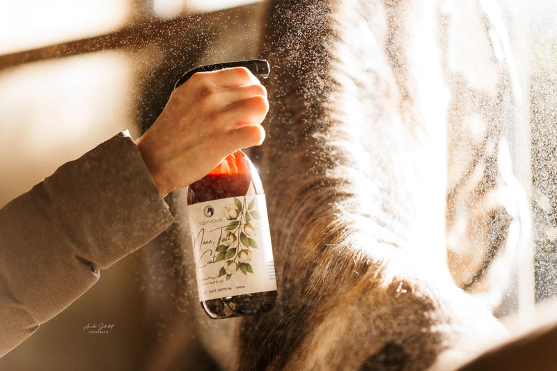 Mane & Tail Spray for Horses - Grooming Shine Spray with Soft Cotton Fragrance, Makes Combing & Detangling Easier, Gives Silky Shine, Dust-Repellent Care Formula - 500 ml Care Spray for Horse 1