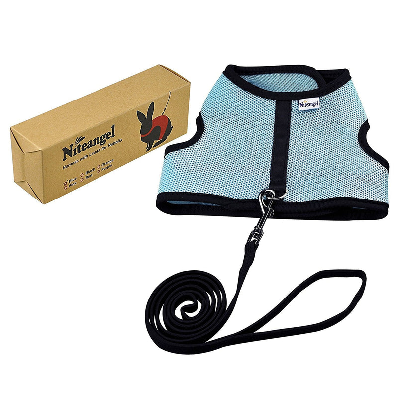 Niteangel Adjustable Soft Harness with Elastic Leash for Rabbits (L, Blue) L - BeesActive Australia