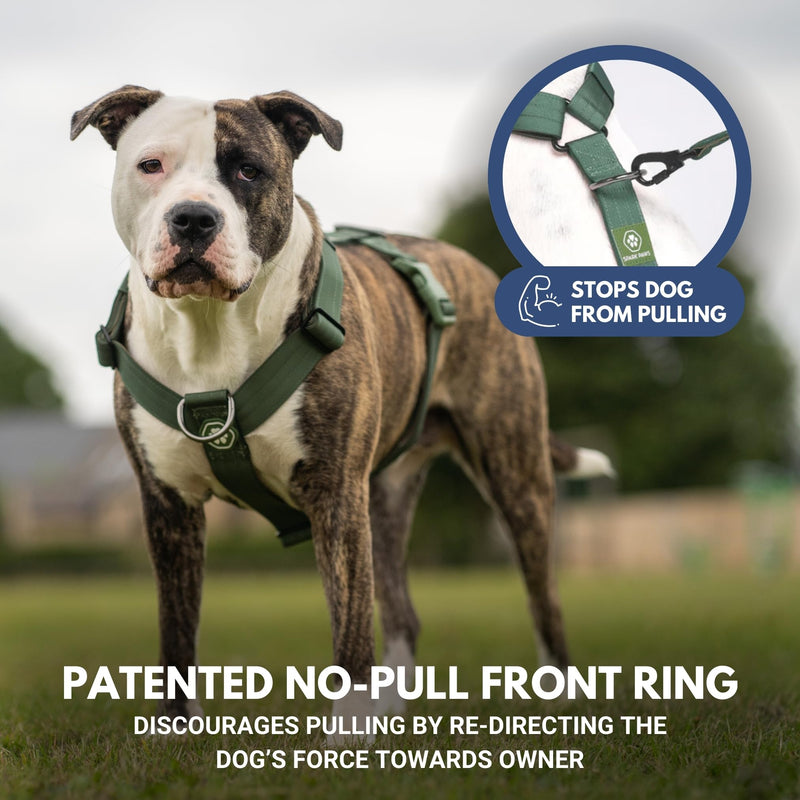 Spark Paws Large Dog No-Pull Harness, Halter Design with Front Clip, Durable and Heavy-Duty for Big and Strong Breeds - Solid Green – L L [36-68kg Green - BeesActive Australia