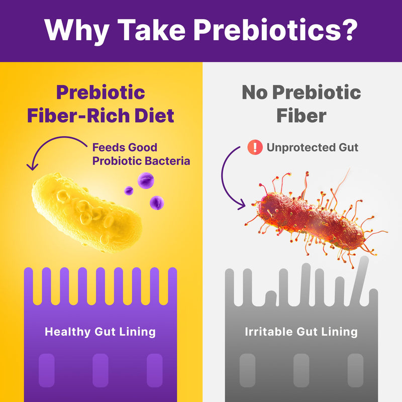 InnovixLabs Prebiotic Fiber Powder for Digestive & Gut Health (6.4oz, 180g) | High Fiber Supplement for Women & Men, Sugar-Free W/ Chicory Root Acacia Fiber, Inulin & Soluble Fibers, Vegan, 30-Day Supply
