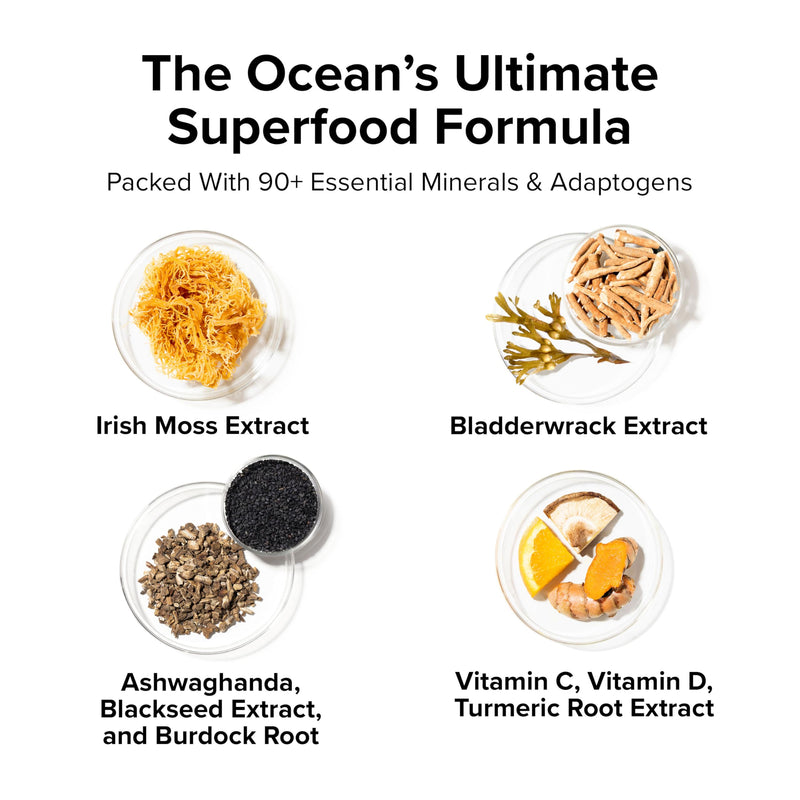 InnoSupps Wild Sea Moss Capsules - Immune Support Supplement for Vitality and Gut Health - Daily Vitamins for Men and Women (30 Servings)