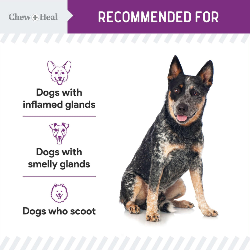 Stop The Scoot Fiber for Dogs - 120 Soft Chews with Pumpkin Powder for Healthy Anal Gland Function - Vet Recommended, Made in The USA 1 Pack (120 Count) - PawsPlanet Australia