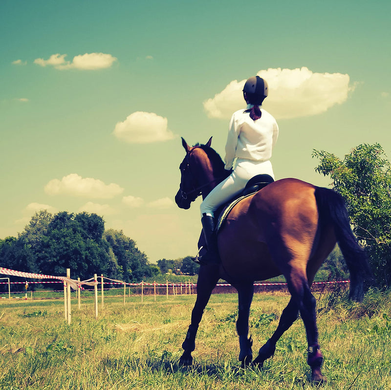 "BE COOL" COOKIES for a "Chilled Out" CALM COOL Horse - With Ashwagandha and B Vitamins