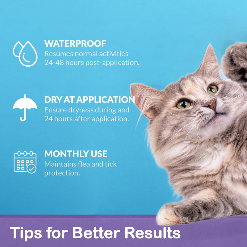 Topical Flea and Tick for Large Cats: Waterproof Topical Cat Flea and Tick – Fast-Acting & Long-Lasting at Home Control for Cats Over 9 lbs and 8 Weeks or Older – 6-Dose Supply L-6