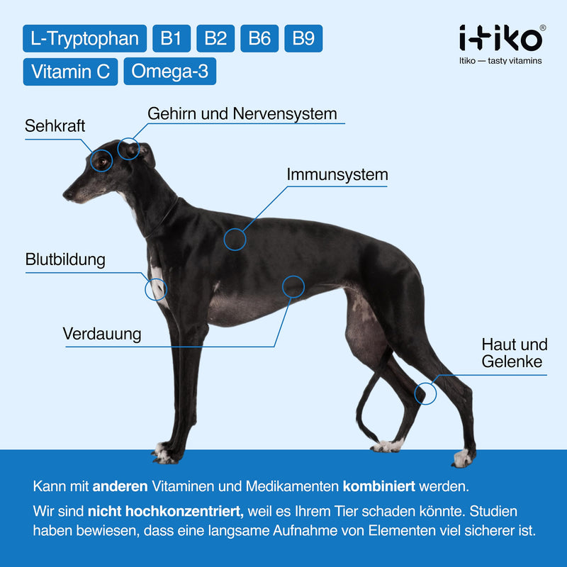 ITIKO vitamins for dogs | Delicious dog calming food supplement Dog tranquilizers | Improving the nervous system, anti-barking, L-tryptophan - BeesActive Australia