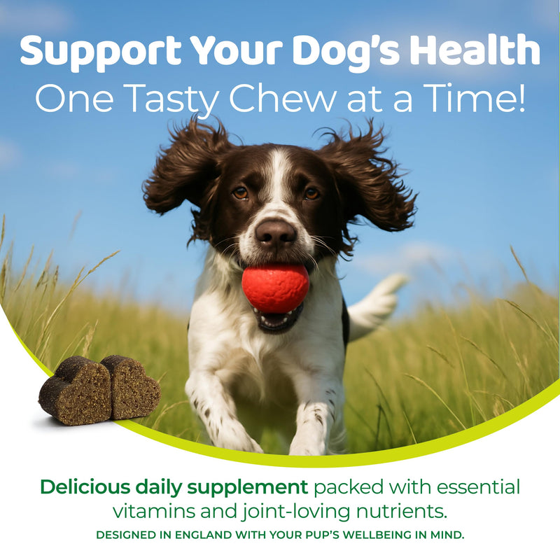Multivitamins for Dogs – 120 Soft Dog Chews Packed with Vitamins & Minerals – Dogs Multivitamin for Vitality & Overall Wellness – Chicken Flavor Dog Treats for All Ages, Breeds & Sizes