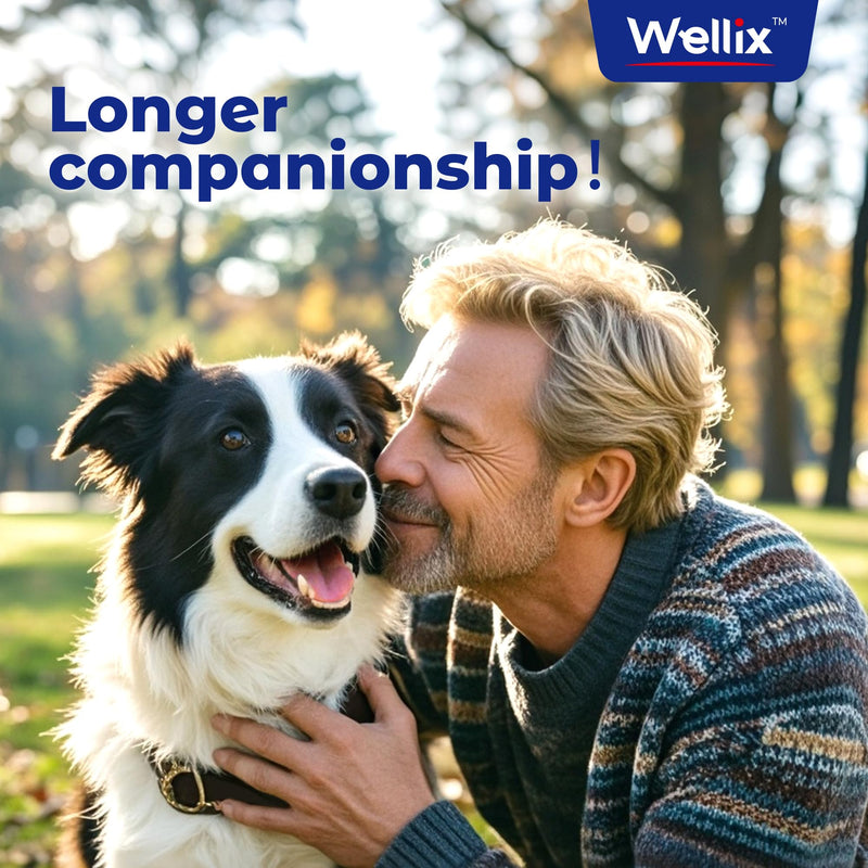 Omega 3 Fish Oil for Dogs, Better Than Salmon Oil for Dogs, Dog Fish Oil Supplement, Pet Skin and Coat Supplement, Promotes Heart, Joint & Immune Health, EPA & DHA 8.5 FLOZ - BeesActive Australia
