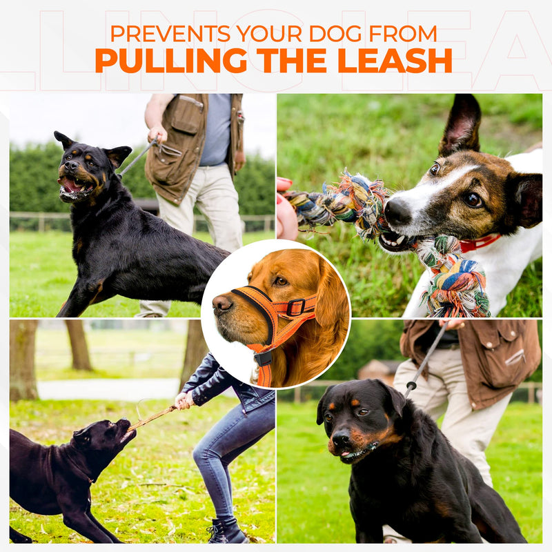 Dog Head Halter with Safety Strap - Headcollar - No-Pull Dog Collar – Perfect for Leash & Harness Training Medium and Large Dog Sizes (Size M (Pack of 1), Red) - BeesActive Australia