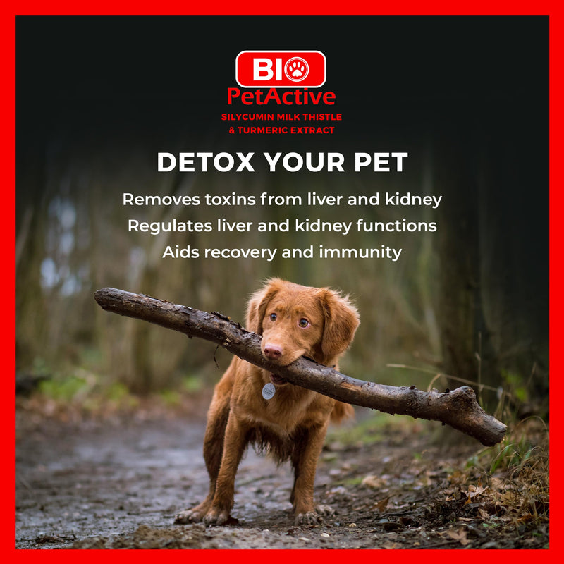Bio PetActive Silycumin Milk Thistle & Turmeric Supplement for Dogs - Advanced Liver & Kidney Support with 80% Silymarin and Curcumin - Detox & Antioxidant Formula - 45 Chewable Tablets
