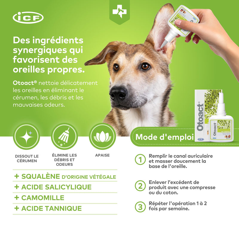CIF Icf OTO Act 100 ml - BeesActive Australia
