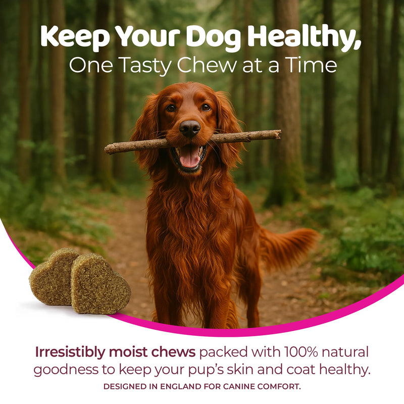 Skin & Coat Dogs Itchy Skin Chews for Dogs – 120 Soft Dog Chews – Helps Maintain Healthy Coat, Shine & Overall Skin Wellness – Natural Pork Flavor – Dog Treats for All Breeds & Sizes Skin & Coat