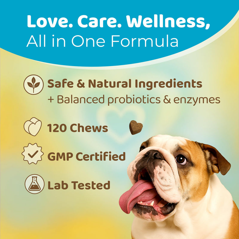 Probiotics Chews for Dogs – 120 Soft Dog Chews – Supports Gut Health, Stool Quality & Digestive Balance - Natural Beef Flavor – Probiotics Dog Treats for All Breeds & Sizes