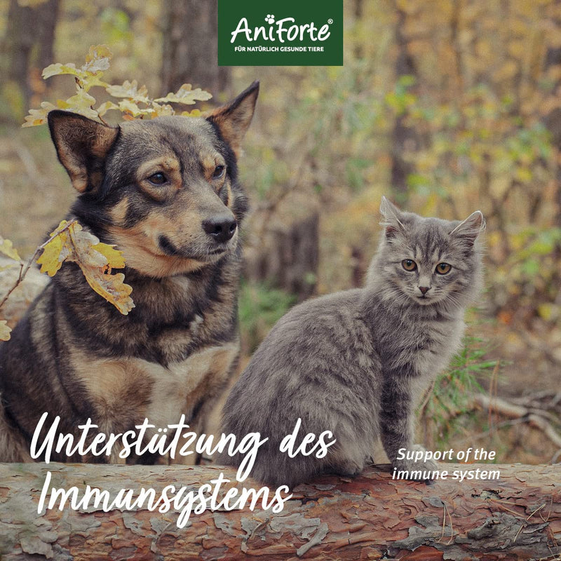 AniForte Propolis Powder for Dogs & Cats 20g - Natural propolis powder to support the immune system, defenses and vital skin - BeesActive Australia