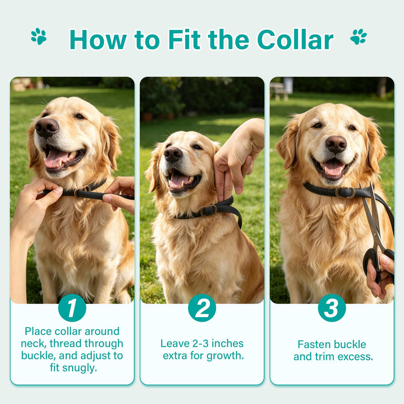 Flea and Tick Collar for Dogs 6 Pack, Natural Flea & Tick Prevention with Essential Oils, Waterproof Adjustable Dog Collar for Small Medium Large Dogs, Black & Gold