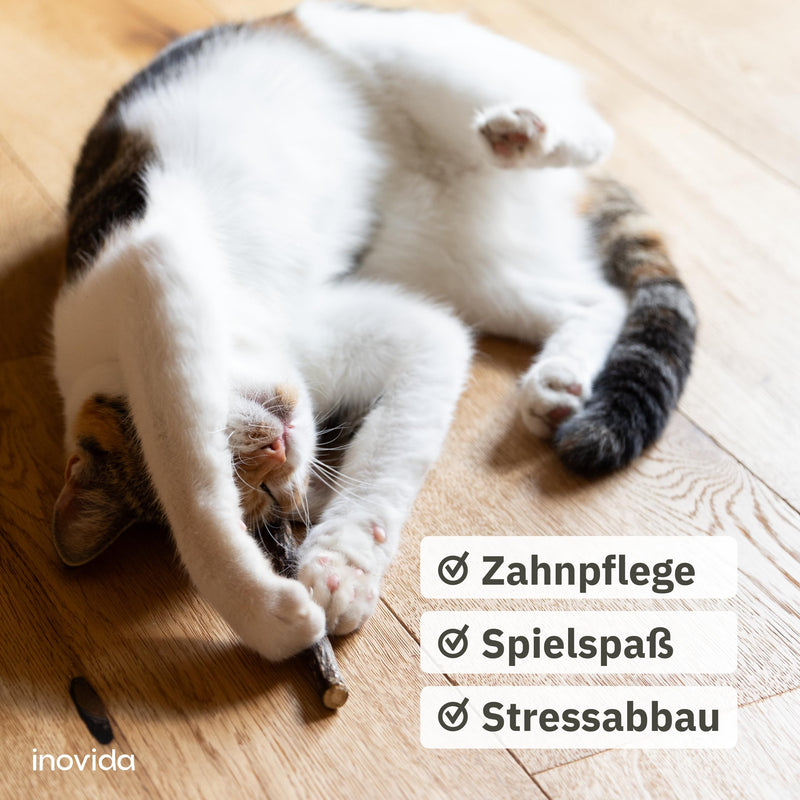Matatabi Stick Cat: 8 Matatabi Sticks for Cats Dental Care - Wooden Cat Toys for Bad Breath - Cat Chew Toys - Natural Toys for Cats - Cat Sticks - Inovida Cat Accessories - BeesActive Australia