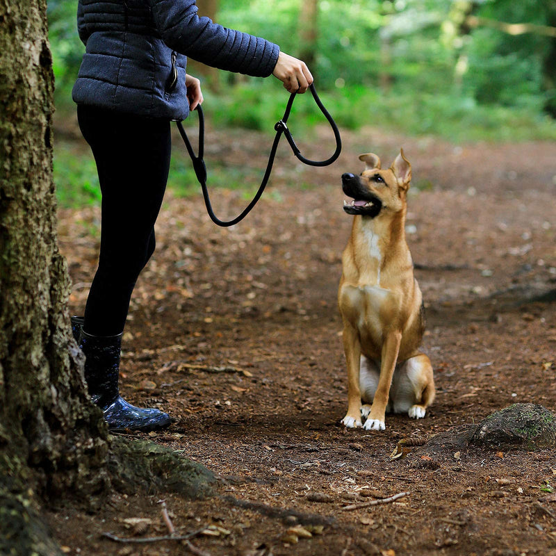 lionto retriever leash, robust and weatherproof for dogs of all sizes, quick to put on dog leash and collar in one, 170 cm, fur-friendly leash with integrated pull stop, vegan, black, length 170 cm - BeesActive Australia
