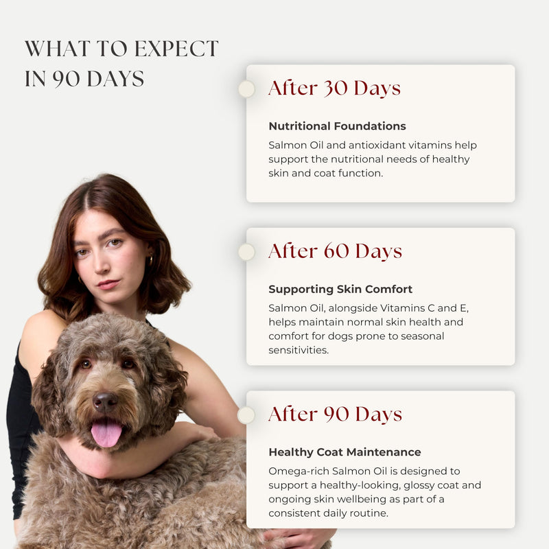 Rusko's Skin & Coat Supplement for Dogs | Soothes Itchy Skin, Restores Coat Condition & Supports Skin Barrier Health | Salmon Oil, Vitamin C & Vitamin E | 120 Soft Chews