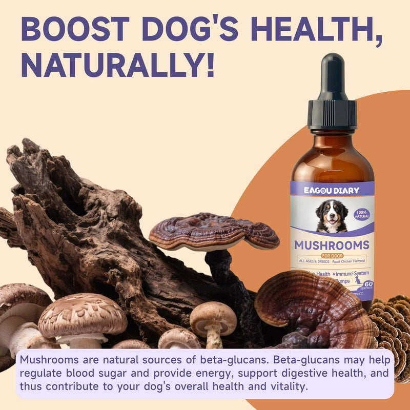 Mushroom for Dogs - with Turkey Tail Mushroom for Dogs, Lion’s Mane, Shiitake, Supports Joint & Gut Health, Enhances Energy, Lumps & Bumps Supplement,Organic Mushrooms Supplement for Dog, 60ml Drop
