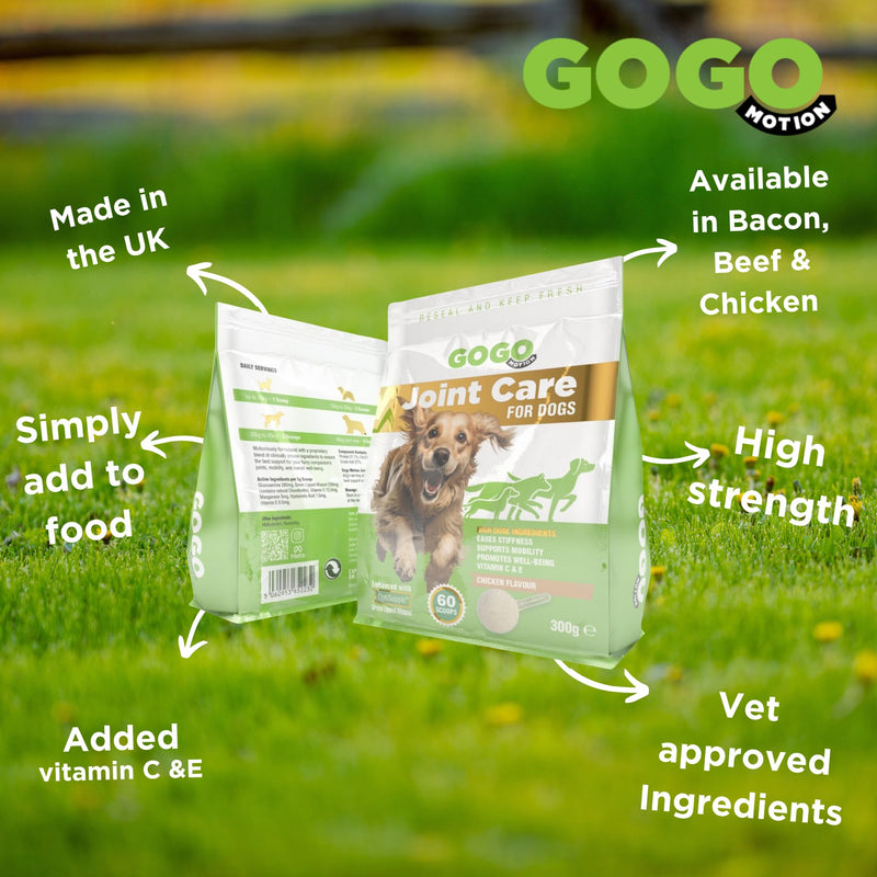 Joint Care Powder for Dogs Beef Flavour with Green Lipped Mussel and Glucosamine (300g) 300g