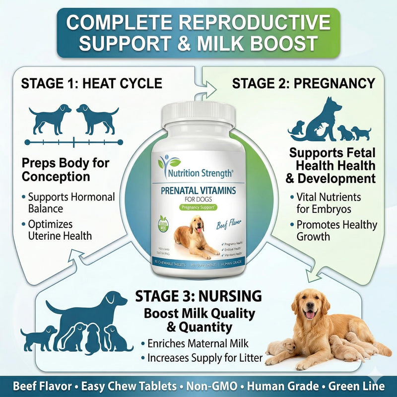 Prenatal Vitamins for Dogs to Support Development of Healthy Puppies, Promote Milk Production, with Folic Acid, Iron, Zinc, Iodine, B Vitamins for Pregnant Dogs, 90 Chewable Tablets Beef