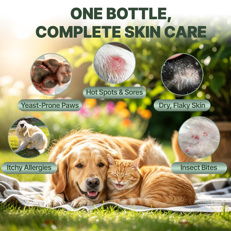 Faith Love Hope Hot Spot Spray for Dogs & Cats, Dog Itching Skin Relief, Botanical Skin Care Mist for Paw Licking & Red Irritated Areas - 3.4oz