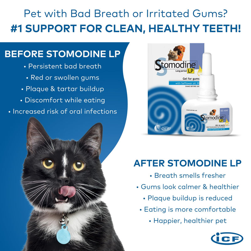ICF | Stomodine Long Period Cat & Dog Toothpaste Gel for Pets' Oral Hygiene Gum Health | Bad Breath Meat Flavoured | 50 ml
