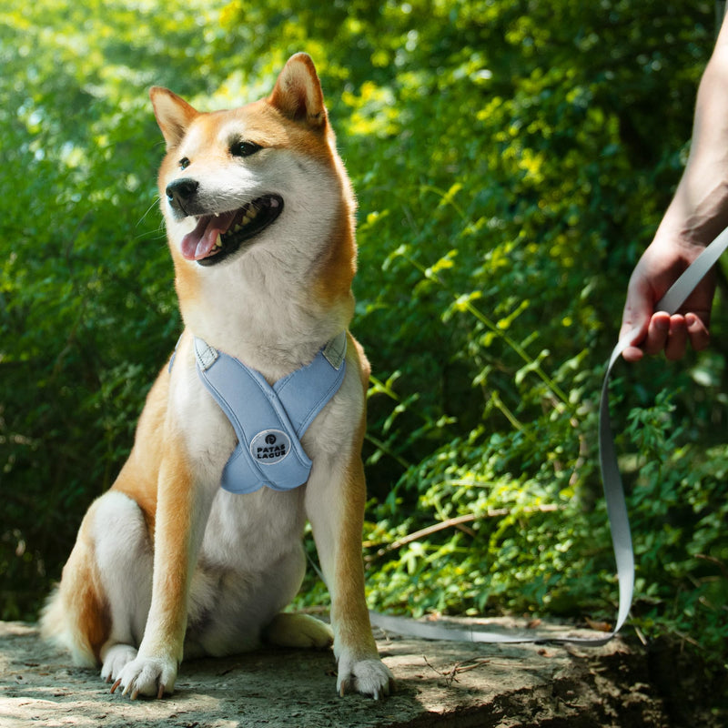 Patas Lague Dog Harness with Leash Set Adjustable Soft Padded Step-in Dog Vest No Choke No Pull Reflective for Small Medium Dogs with Poop Bags and Dispenser, Solid and No-chew, Blue S S (Neck 16.6-19.7'' Chest 19.7-23.7'') - BeesActive Australia