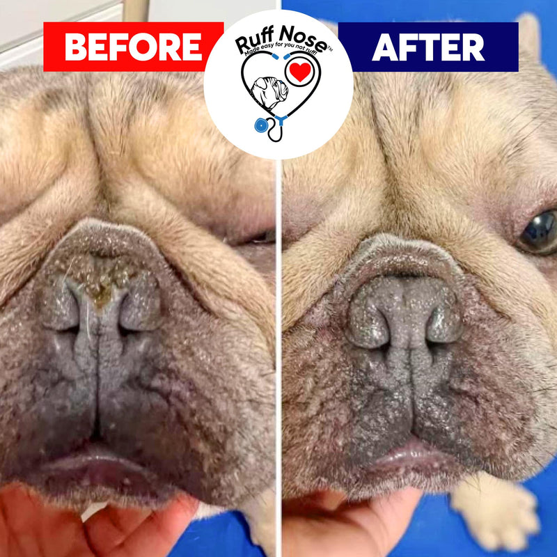 Dog Nose & Paw Balm (4 oz) - RuffNose Natural Moisturizer with Shea, Coconut & Cocoa Butter - Helps Condition Dry, Rough Paws and Noses - Suitable for Daily Use, All Breeds - Made in the USA 4 oz.