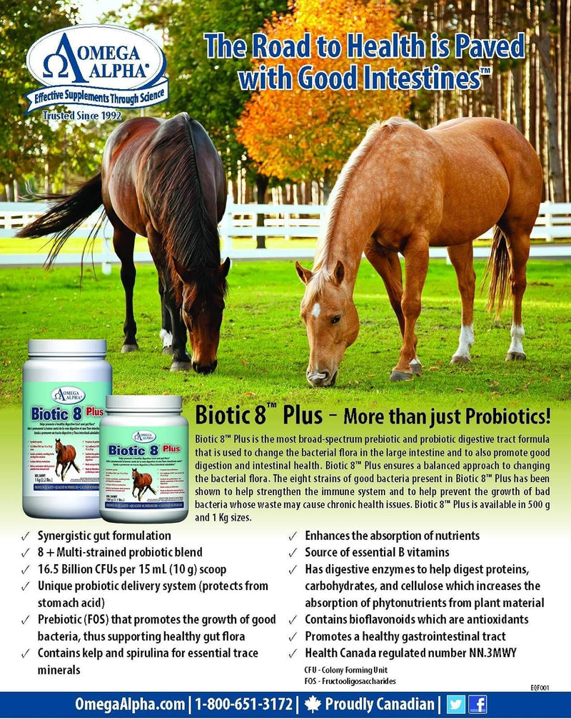 Omega Alpha Biotic 8 2.2lbs for horses - BeesActive Australia