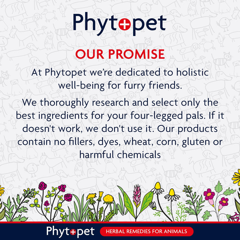 Phytopet Travel, Cat and Dog Anxiety Relief, Easy to Use Herbal Supplements for Dog Travel Sickness and Nerves, 30ml - 100% Herbal Phytopet Pet Supplies